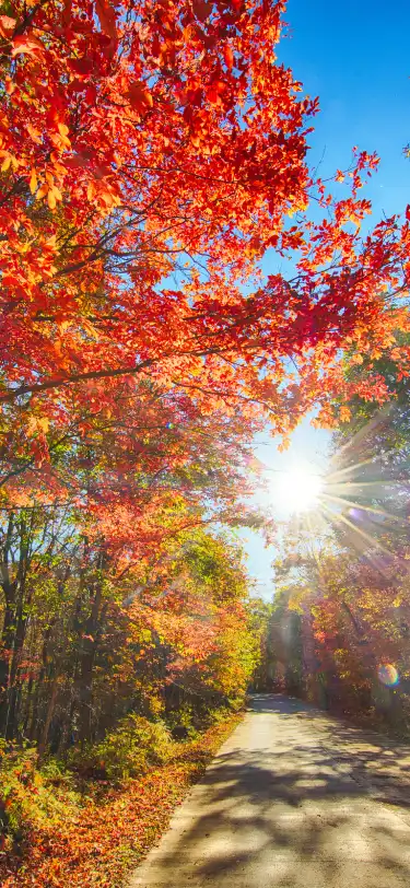 Сеть Ease в г. Тунхуа 