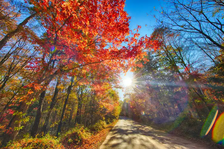 퉁화 이비스 숙소