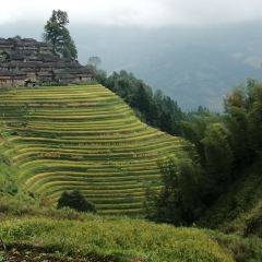 青莲居河景饭店 User Photo
