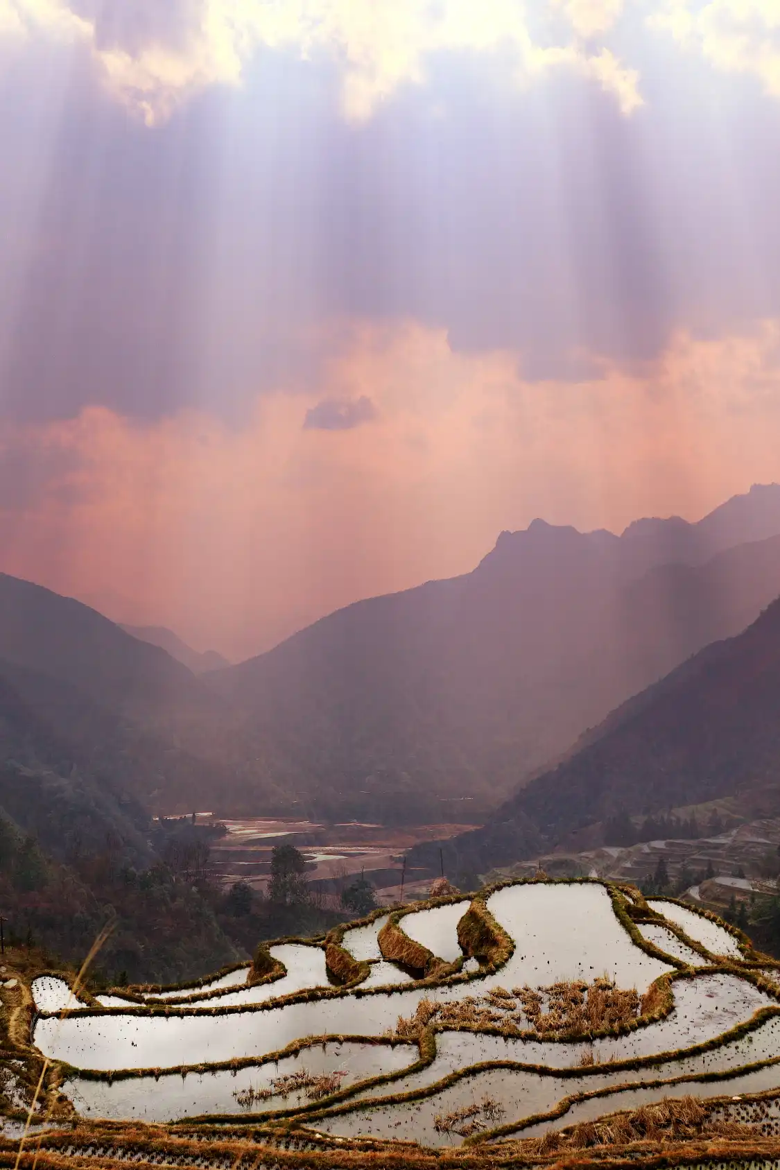 Hôtels à proximité de : Shidong Miaozhai