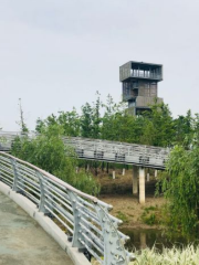 金湖綠道起點公園-孩童樂園