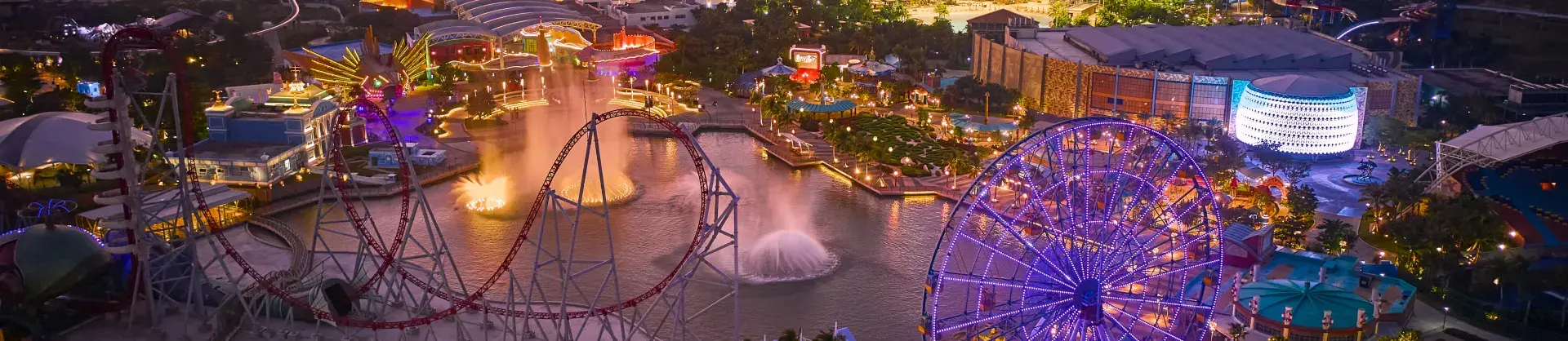 Night Attractions