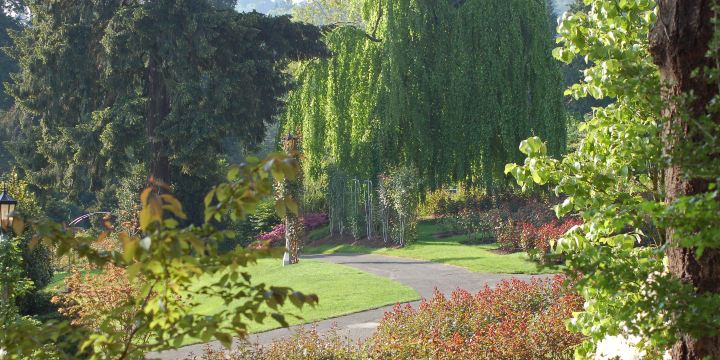 国際バラ試験庭園