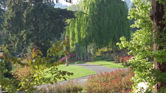 国際バラ試験庭園