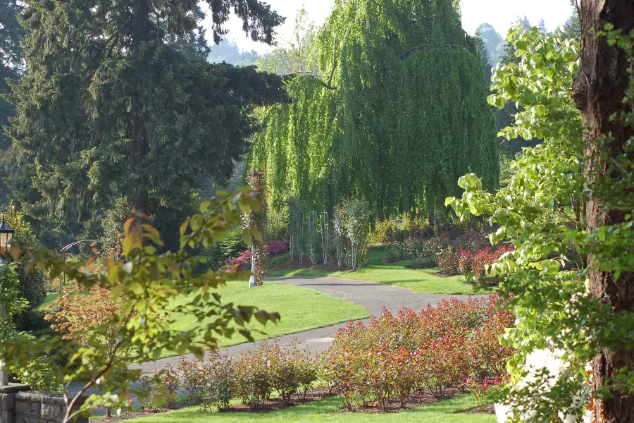 International Rose Test Garden