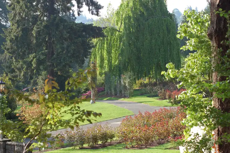 Hotels in der Nähe von Rose Garden
