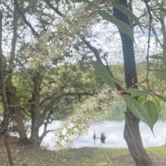 冕宁彝海·沐栖酒店·阳光餐厅 User Photo