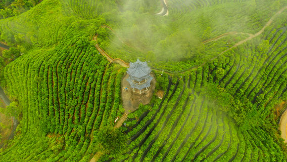 Tea Mountain Pyramid, Lingyun