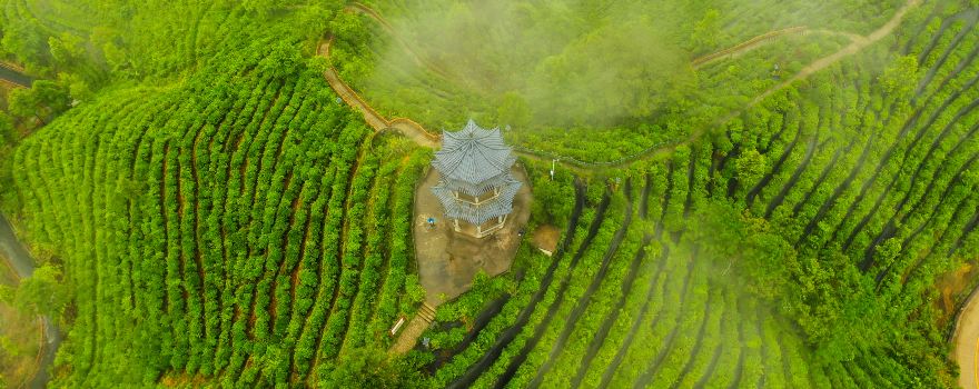 Tea Mountain Pyramid, Lingyun