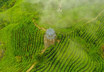 Tea Mountain Pyramid, Lingyun