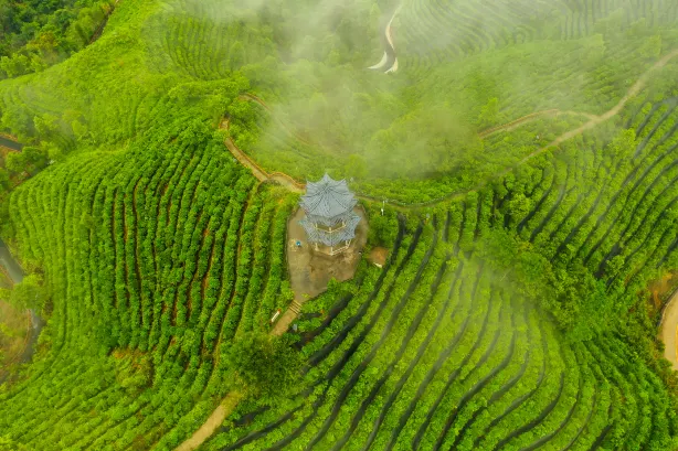 Tea Mountain Pyramid, Lingyun