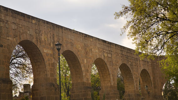 Morelia