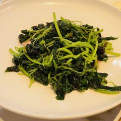 醉辉皇(徐汇滨江东航店) User Photo