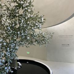 缦山·by oravida User Photo