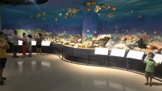 貴港自然博物館