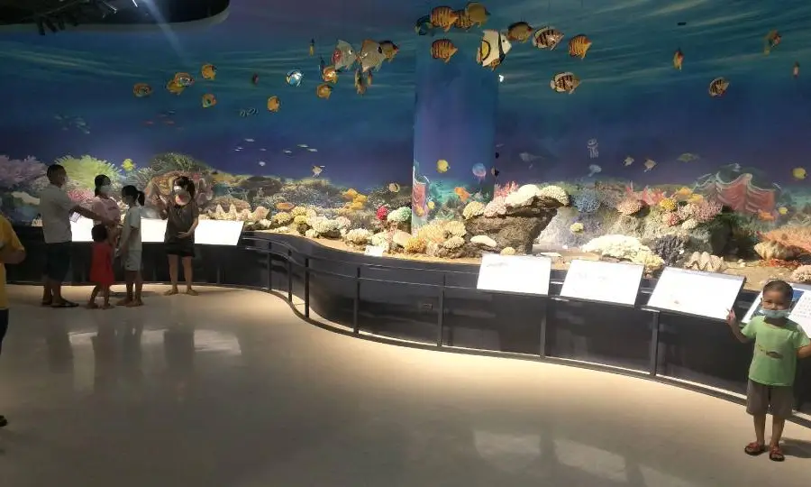 貴港自然博物館