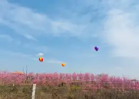 百花樂園