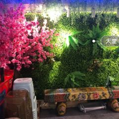 桃鲤·淳鱼馆(千岛湖店) User Photo