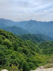 Xiangyu Forest Park