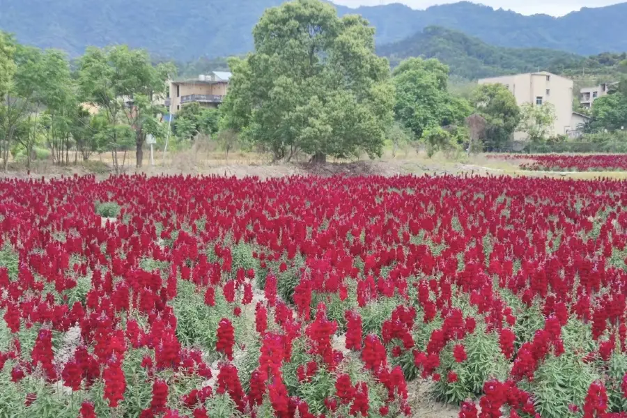 Kongyuan Flower World