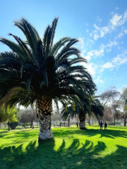 Parque Santa Mónica