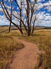 Reservoir Ridge Natural Area