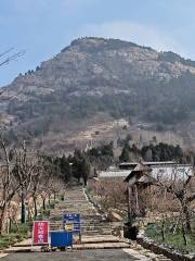 神童山