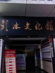 Pengshui Cultural Center