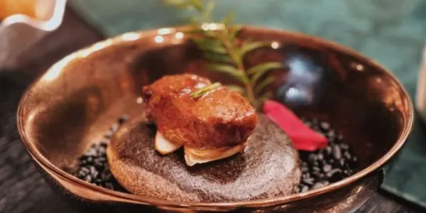 원저우 파인다이닝 베스트 6