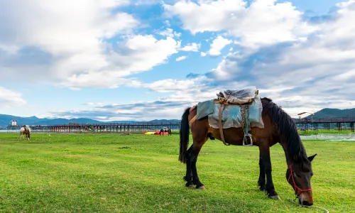 Yulong Horse Riding