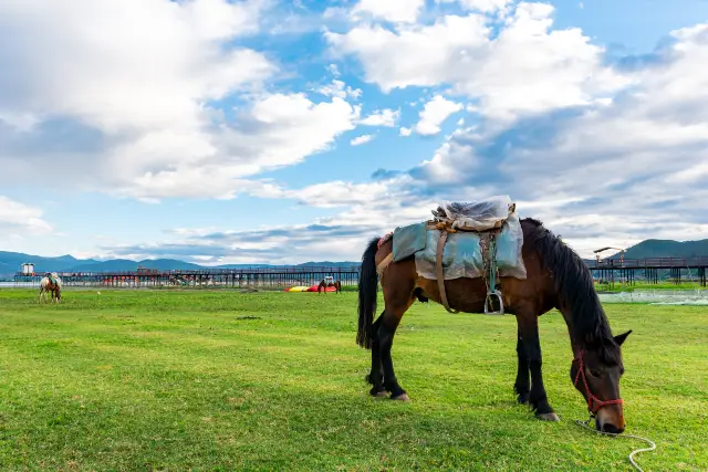 Yulong Horse Riding