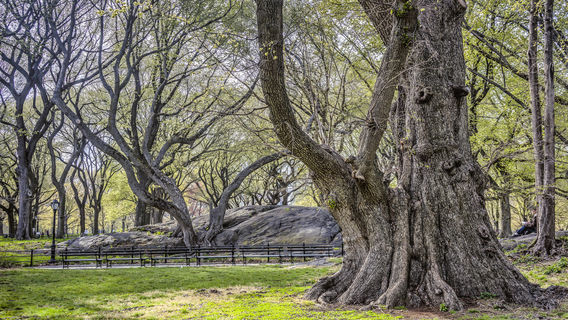 Xila Mulun Park Shenqidong