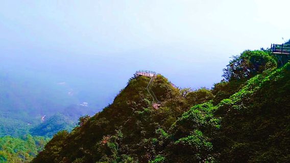 Qifeng Mountain Ecological Tourism Area