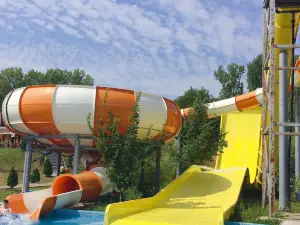 Aqua Magic