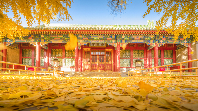 Prince Kung's Palace Museum