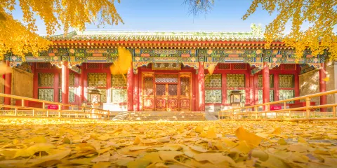 恭王府