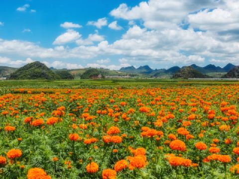 中國東方航空香港飛昆明