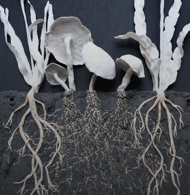 SOIL: THE WORLD AT OUR FEET | Somerset House
