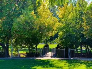 Barnes Park