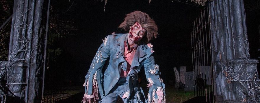 Night Terrors Haunted Farm