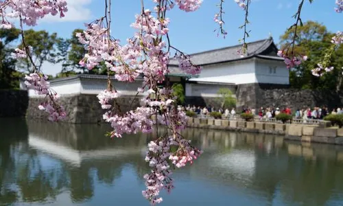Imperial Palace East National Gardens