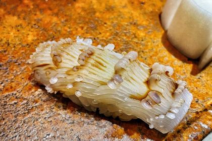 寿司小川·omakase(丰淮街店)