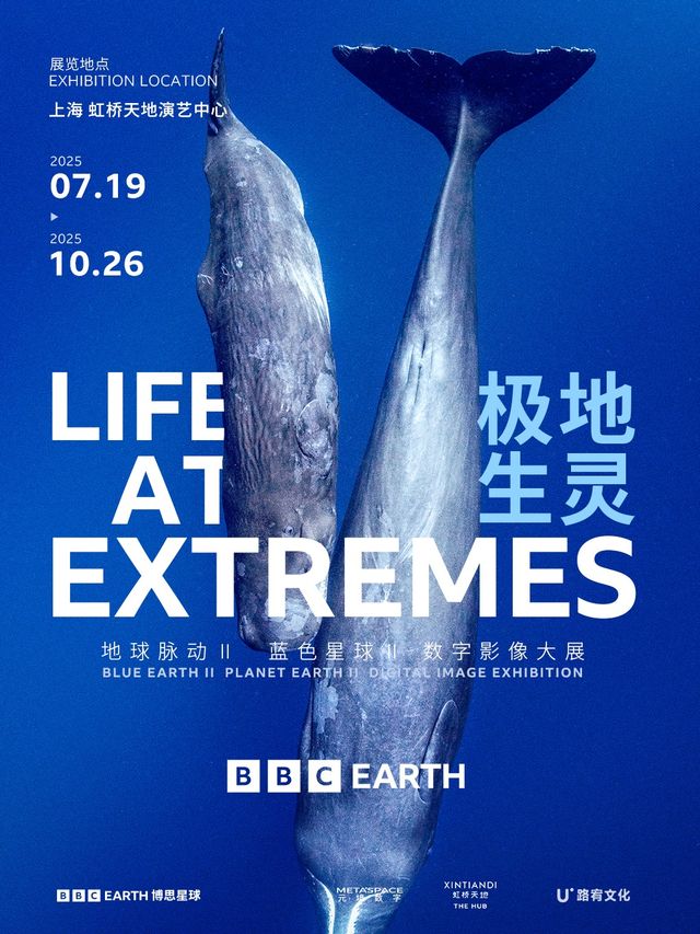 UK-The BBC EARTH Digital Image Exhibition of Polar Creatures | Hongqiao World Performing Arts Center