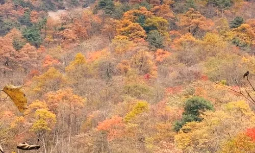 Dabie Mountain Main Peak (Baima Main Peak)