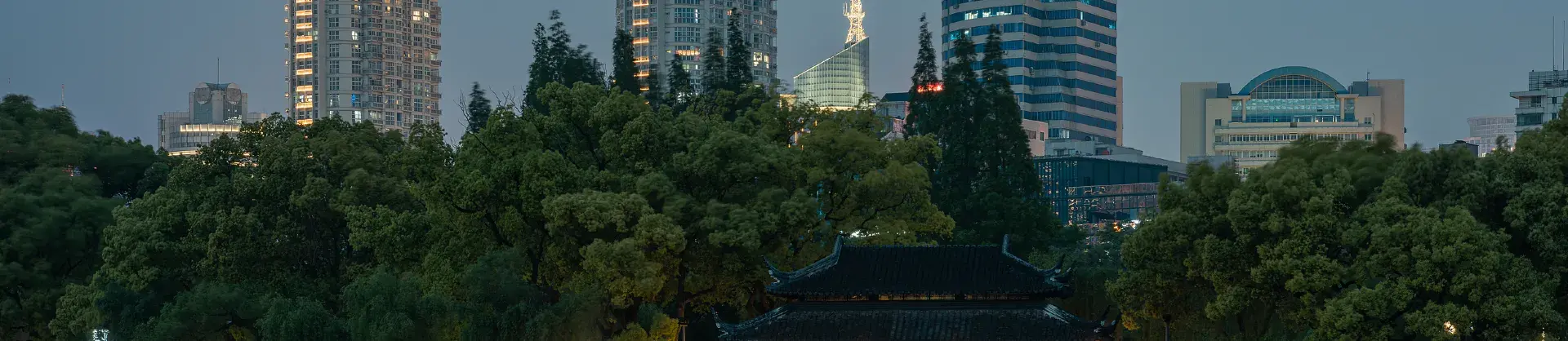 Night Attractions
