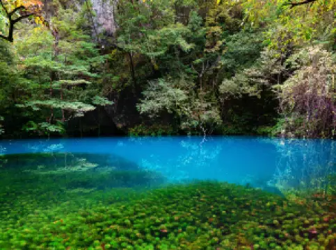 Popular Spring Outings in Zhenyuan