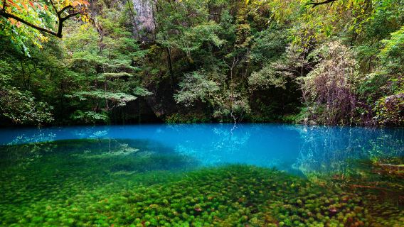 Tiexi River Natural Scenic Area
