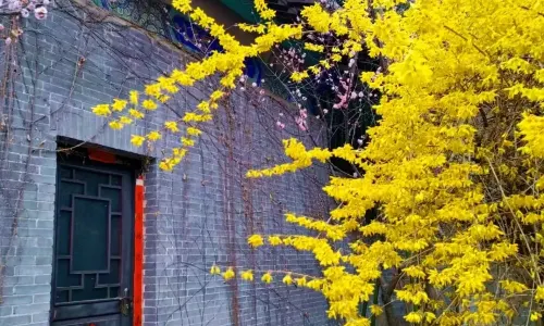 Zhuquan Village