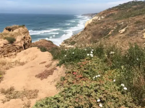 Torrey Pines State Natural Reserve
