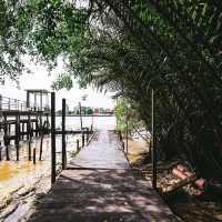 Bangkok Tree House